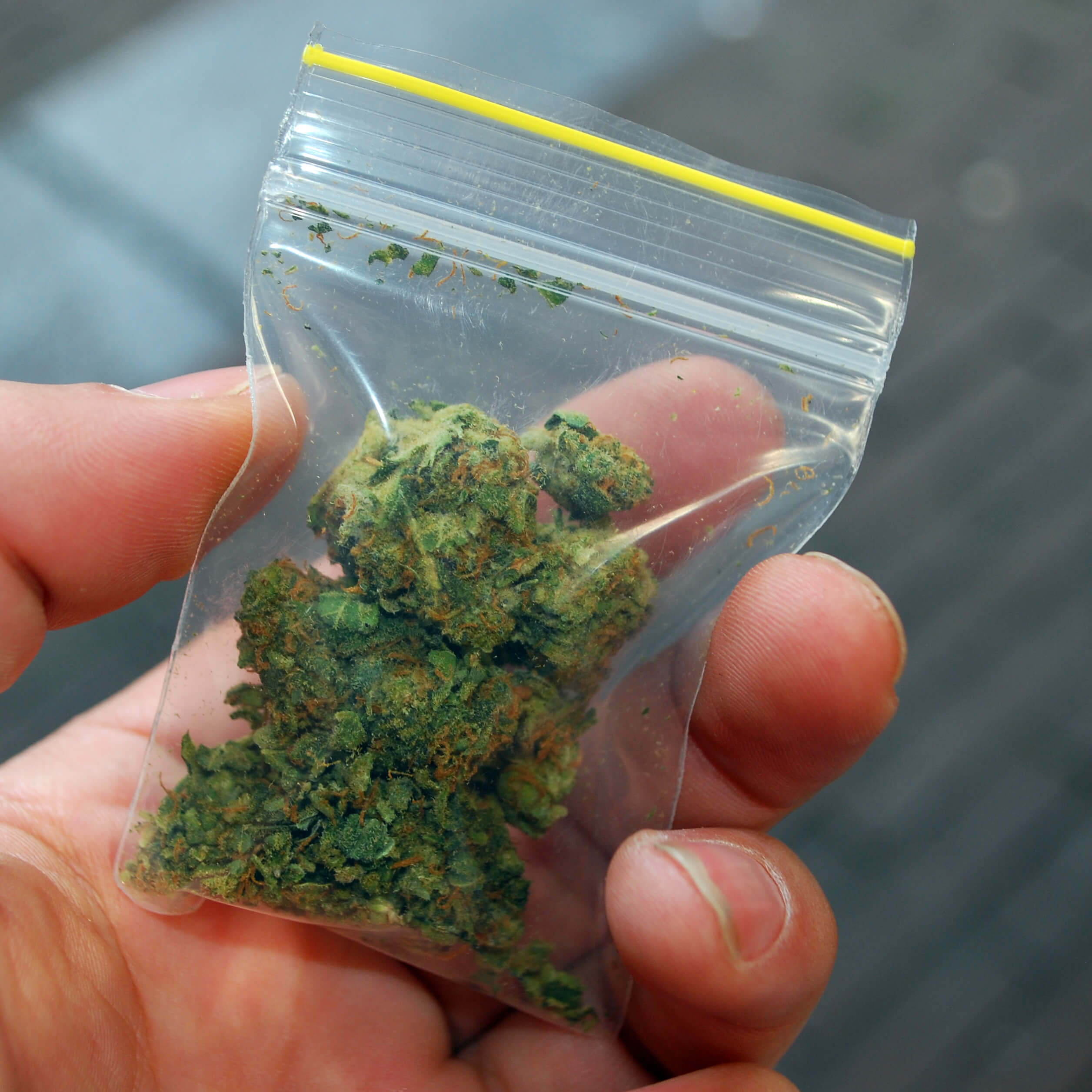 Bag of Marijuana